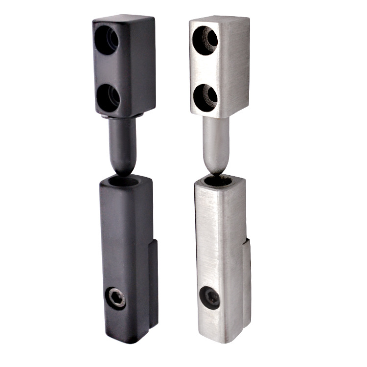 Adjustable stainless steel removable hinges