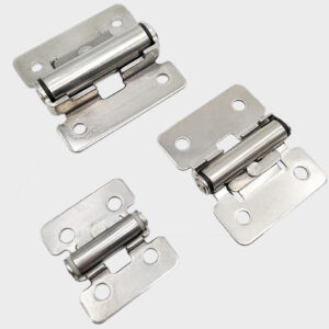 Stainless Steel Torque Hinges (1)