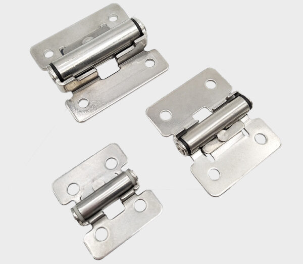 Stainless Steel Torque Hinges (1)